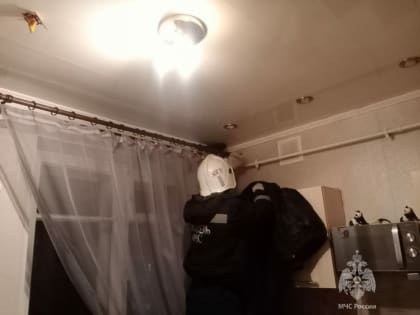 В Казани спасатели помогли выбраться на волю вороне, которая залетела через форточку в квартиру