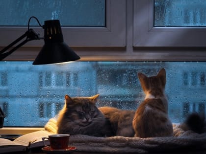 В начале рабочей недели в Татарстане ожидаются дожди и усиление ветра до 17 м/с