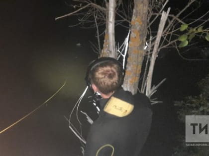 В пруду Спасского района РТ водолазы нашли утонувшего мужчину