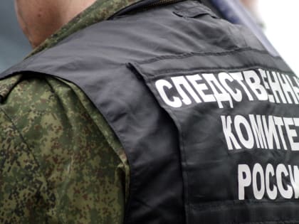 Бастрыкин заинтересовался нападением на казанского кондуктора