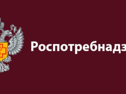 Роспотребнадзор: О рекомендациях по работе с гаджетами для школьников