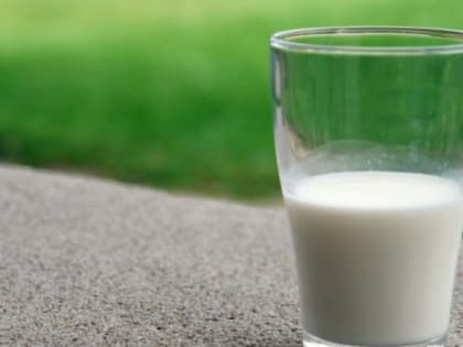 В Татарстане построят новый молочно-товарный комплекс за 2,5 млрд рублей