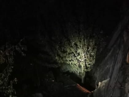 В Казани на пожаре в садовом домике погибли двое мужчин