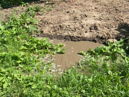 В Казани вновь прорвало сети «Водоканала»