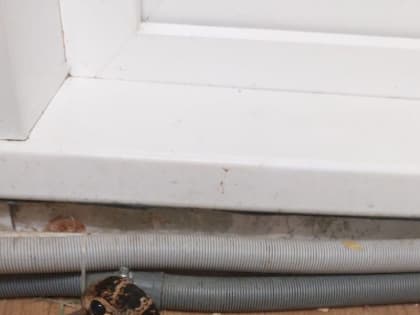 Челнинцы начали находить раненных перелетных птиц