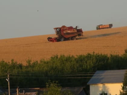 Путин: Наши аграрии обеспечивают внутренний рынок всеми основными видами продовольствия