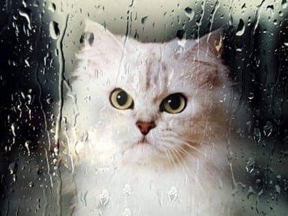 Первый весенний шторм обрушится на Татарстан в середине недели