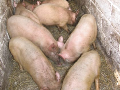 Профилактика АЧС на территории Республики Татарстан