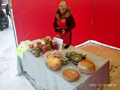 В Челнах проходят ярмарки «Новогодний гусь»