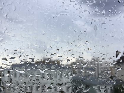 В Татарстане сохраняются дожди с грозой и сильным ветром