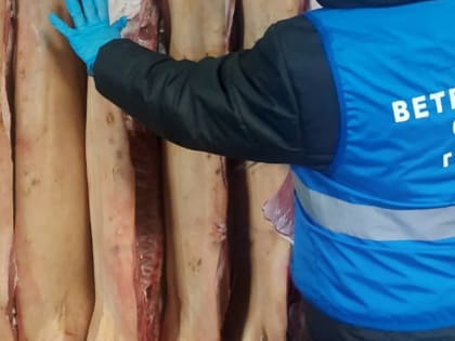 Ярмарки сельского хозяйства в Татарстане продолжают свою работу