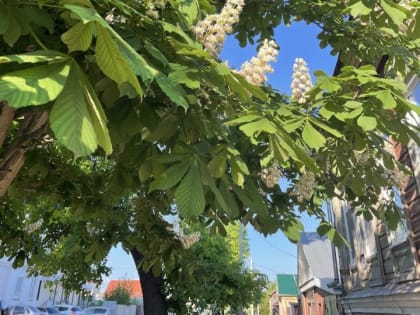 12 июня:Чем знаменателен день