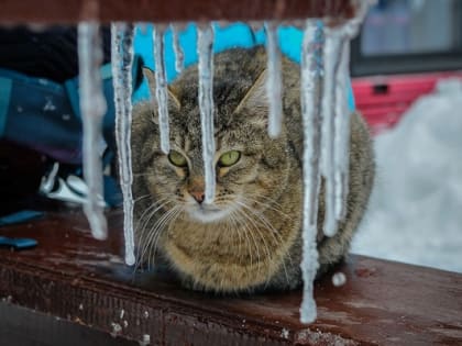 Непогода вновь будет властвовать в Татарстане в начале рабочей недели