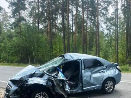 В Татарстане в аварии с «Газелью» пострадали пять человек