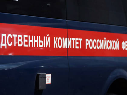 После гибели 5-летнего мальчика в Зеленодольске возбуждено дело