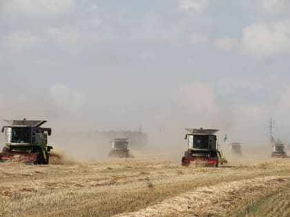 Хлеборобы Мензелинского района преодолели экватор