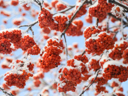 В Татарстане ожидается до 30 градусов мороза