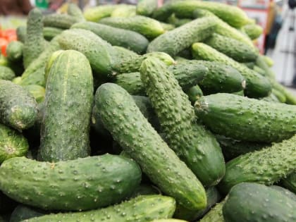 Огурцы подорожали на 7%, а капуста подешевела на 10%: цены на продукты в Татарстане