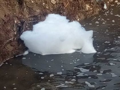 Экологи выехали на место загрязнения озера Кабан