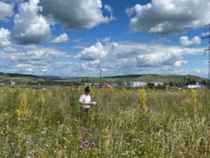 Сорным растениям не место на сельхозземлях