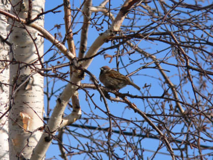 Прогноз погоды на 15 марта