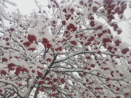 Оперативный прогноз возникновения чрезвычайных ситуаций на территории РТ на 1 декабря