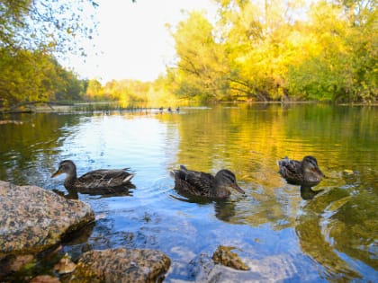 В казанском парке «Черное озеро» началась подготовка к зиме