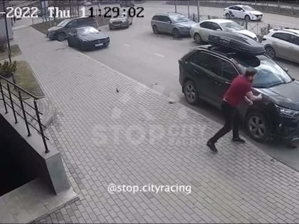 В Казани мужчина с помощью мачете разбил иномарку