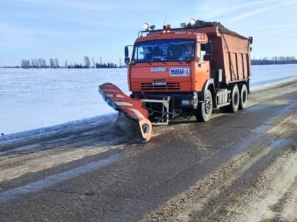 Сейчас на региональных дорогах Татарстана работают 323 единицы снегоуборочной техники