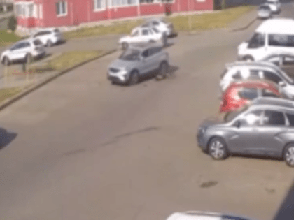 Стали известны подробности аварии с 8-летним велосипедистом