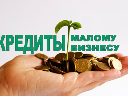 Запущена новая кредитная программа для субъектов МСП под 3–4,5%