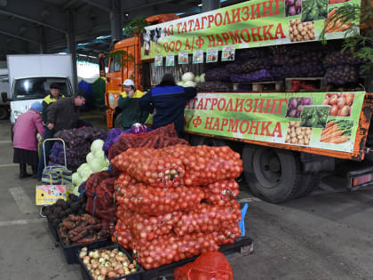 Традиционные сельскохозяйственные ярмарки пройдут в Казани 23 сентября