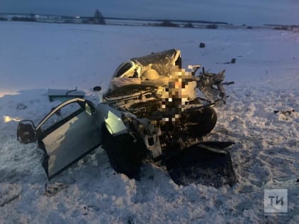 Погибший в ДТП под Чистополем юноша оказался хоккеистом из Нижнекамска