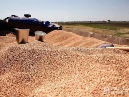 В июле этого года Япония нарастила импорт зерновых из России на 5680%