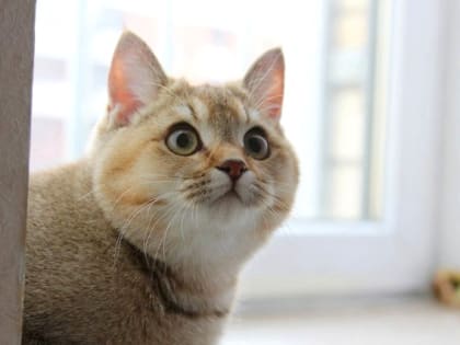 В конце рабочей недели в Татарстане температура воздуха понизится до -5 градусов