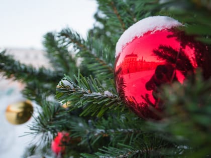 Четырехметровую экоелку из вторсырья откроют на набережной Казанки