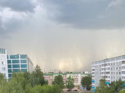 Татарстанцев предупредили о грозах и сильном ветре