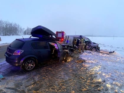 Водитель и пассажир иномарки погибли в лобовом ДТП на трассе в Татарстане