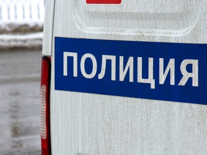 Неизвестный устроил массовое убийство щенят в Челнах