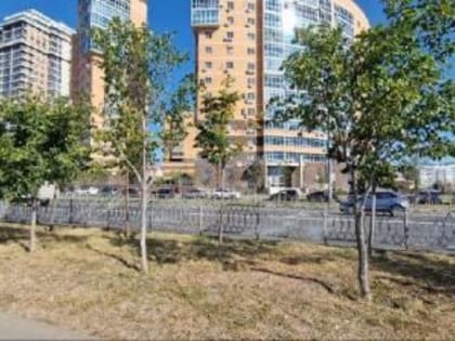 На Сибгата Хакима засыхают деревья