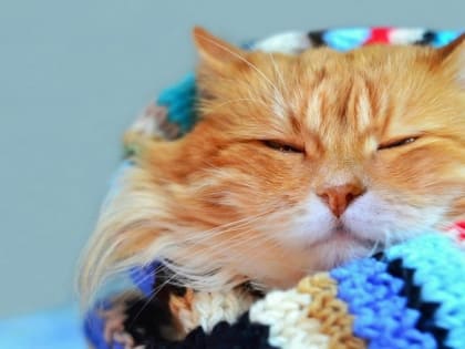 В начале рабочей недели на Татарстан обрушится порывистый ветер до 18 м/с