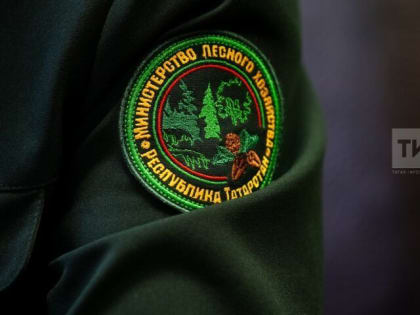 Министерство лесного хозяйства Республики Татарстан напоминает о следующем