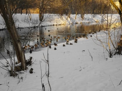 В середине недели воздух в Татарстане прогреется до +2 градусов
