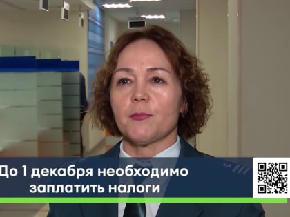 Пришло время платить имущественные налоги