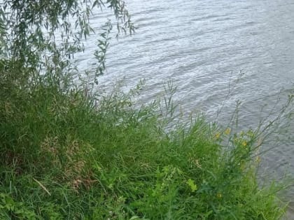 Под Нижнекамском по неаккуратности утонул 60-летний местный житель