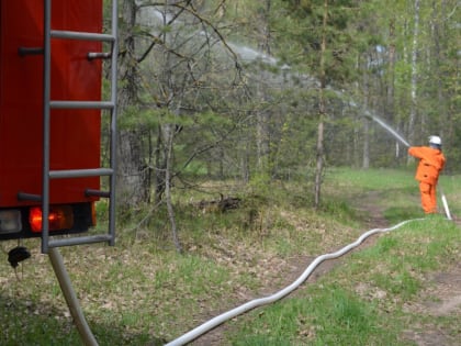 МЧС прокомментировало «лесной пожар» в Казани