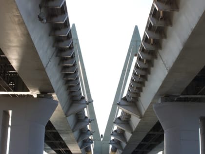 Из-за ласточек частично приостановят ремонт Миллениума