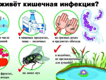 Ротовирус, норовирус, сальмонеллез... Какие заболевания одолели чистопольцев