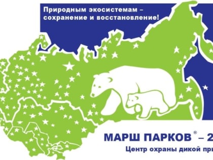 Татарстанцы могут участвовать в Международной акции «Марш парков - 2022»