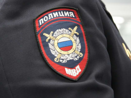 Рисовавших трупом кота детей поставили на учет